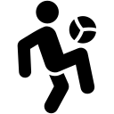 柳琴果